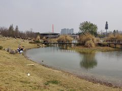 -桂溪生态公园