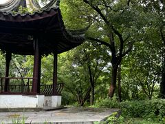 -八大山人梅湖景区