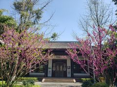 -望江楼公园