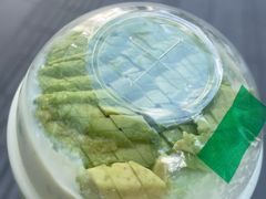 -茉酸奶(春熙路店)