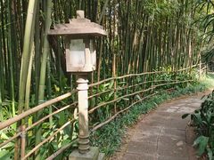 -广州兰圃