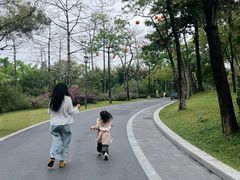 -云溪植物园
