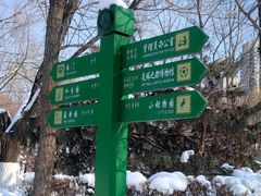 -长白岛森林公园