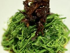 -醉东Oriental House(静安嘉里中心店)
