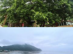 -大鹿岛