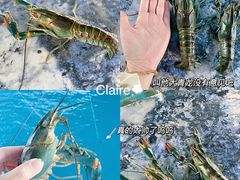 -SHRIMP CLUB万东餐饮钓虾·清吧