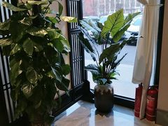 -二分八·大同菜(云雁阁长治路店)