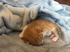 -莱仪堂艾灸经络养生馆(九亭一店)