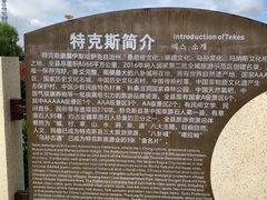 -特克斯八卦城