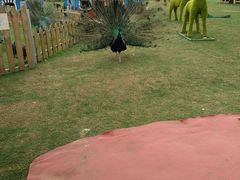 -云漫湖生态度假公园