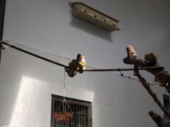 -西安秦岭野生动物园