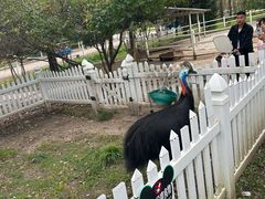 -哈尔滨北方森林动物园