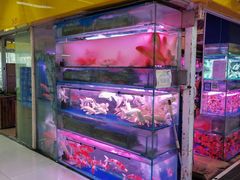 -三旗百汇商品城