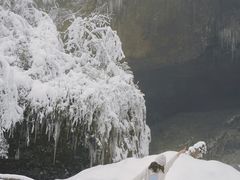 -龙苍沟森林公园