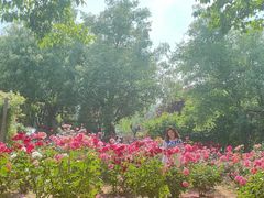 -石家庄市植物园