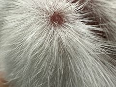 -乐宠宠物店(世纪金源店)