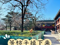 -北京石刻艺术博物馆(五塔寺)