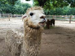 -西安秦岭野生动物园