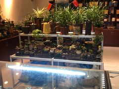-双季花艺园艺市场(浦东店)