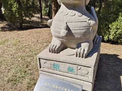 -龙口南山旅游景区
