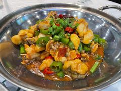石锅牛蛙-虎虎龙虾大排档(双井店)