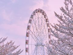 -顾村公园