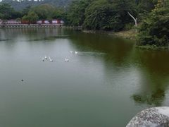 -珠海圆明新园