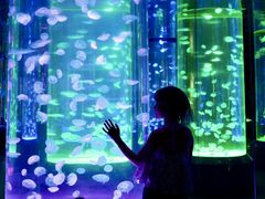 -海合安成都极地海洋公园