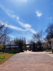 -大望京儿童游乐场