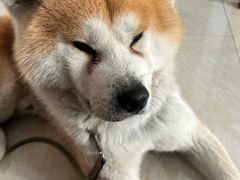 -中粮·祥云小镇