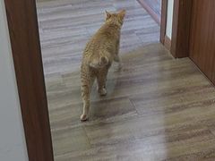 -艾之灸养生馆·推拿·艾灸