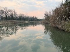 -白鹭湾湿地公园