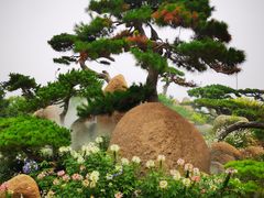 -罗红摄影艺术馆