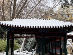 -宣武艺园