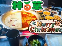 -九鼎轩脆毛肚火锅(南京东路店)
