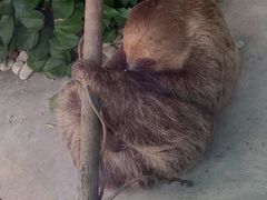 -无锡动物园·太湖欢乐园