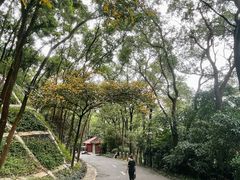 -深圳国际园林花卉博览园