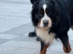 -小意思咖啡店(草桥店)