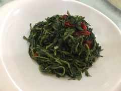 养生枸杞苗-老毛手抓·盐池滩羊非遗手抓(宁夏总店)