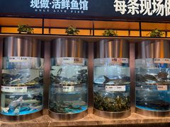 -老船舫·现做活鲜鱼馆(东郊记忆店)