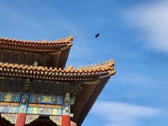-故宫博物院(故宫)