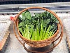 -阿诚市井潮汕菜(金台路店)