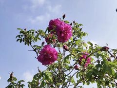 -长春公园(普阳街道)