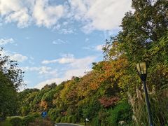 -宝界山林公园