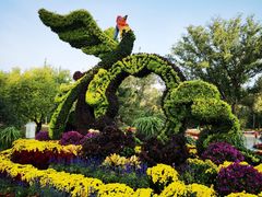 -国家植物园