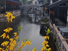 -台儿庄古城