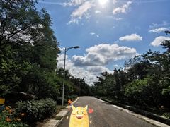 -北京鹫峰国家森林公园