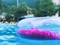 -重庆海昌加勒比海水世界
