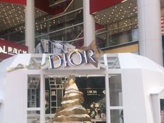 -Dior迪奥(上海世茂广场店)