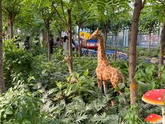 -南宫五洲植物乐园